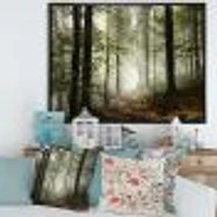 Light Dense Fall Forest with Fog  Canvas Art Print