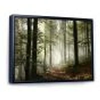 Light Dense Fall Forest with Fog  Canvas Art Print