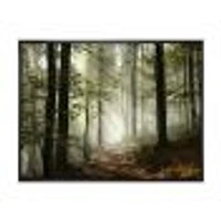 Light Dense Fall Forest with Fog  Canvas Art Print