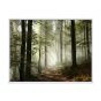 Light Dense Fall Forest with Fog  Canvas Art Print