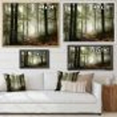 Toile imprimée « Light Dense Fall Forest with Fog »