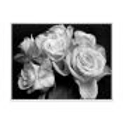 Bunch of Roses Black and White Canvas Art Print