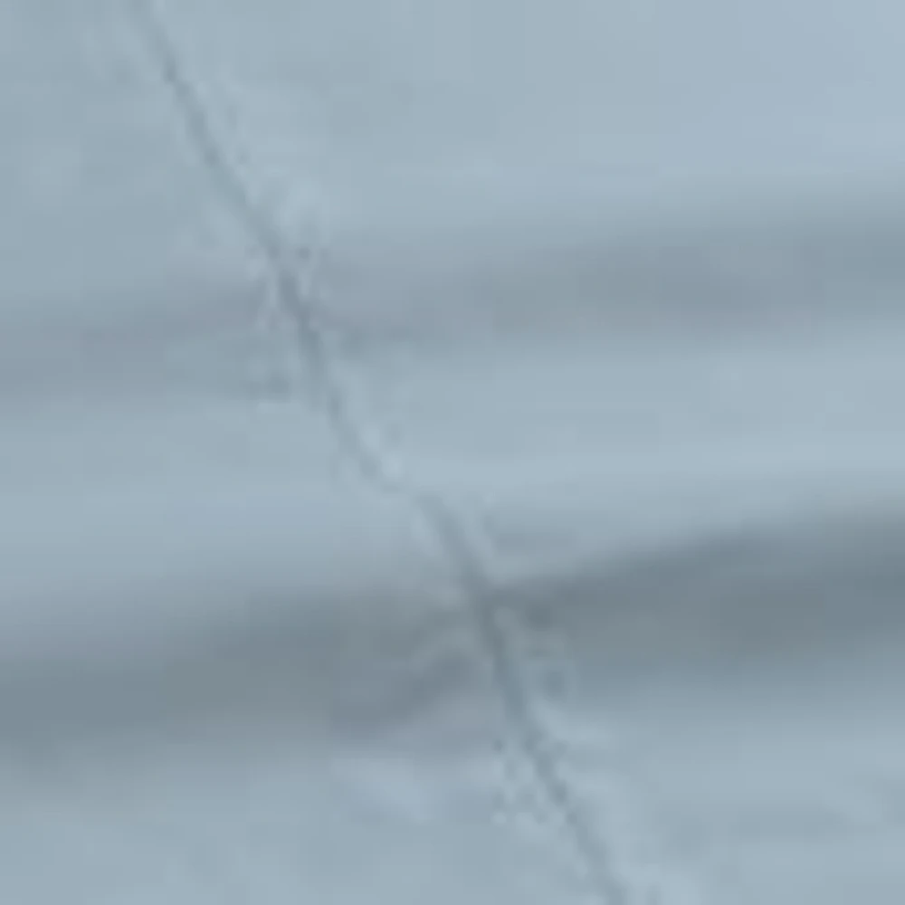 Hotel Five Star Luxury Set of 2 Pillowcases