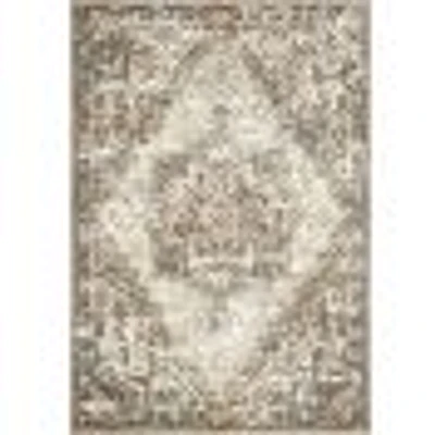 Loloi Landscape Rug