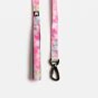 Dog's Collar, Leash and Harness Combo by SilverPaw