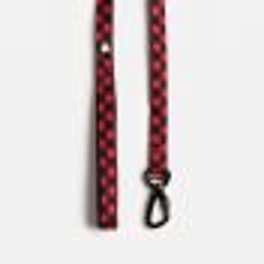 Dog's Collar, Leash and Harness Combo by SilverPaw - Buffalo Plaid