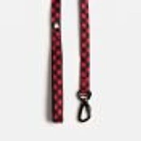Dog's Collar, Leash and Harness Combo by SilverPaw - Buffalo Plaid