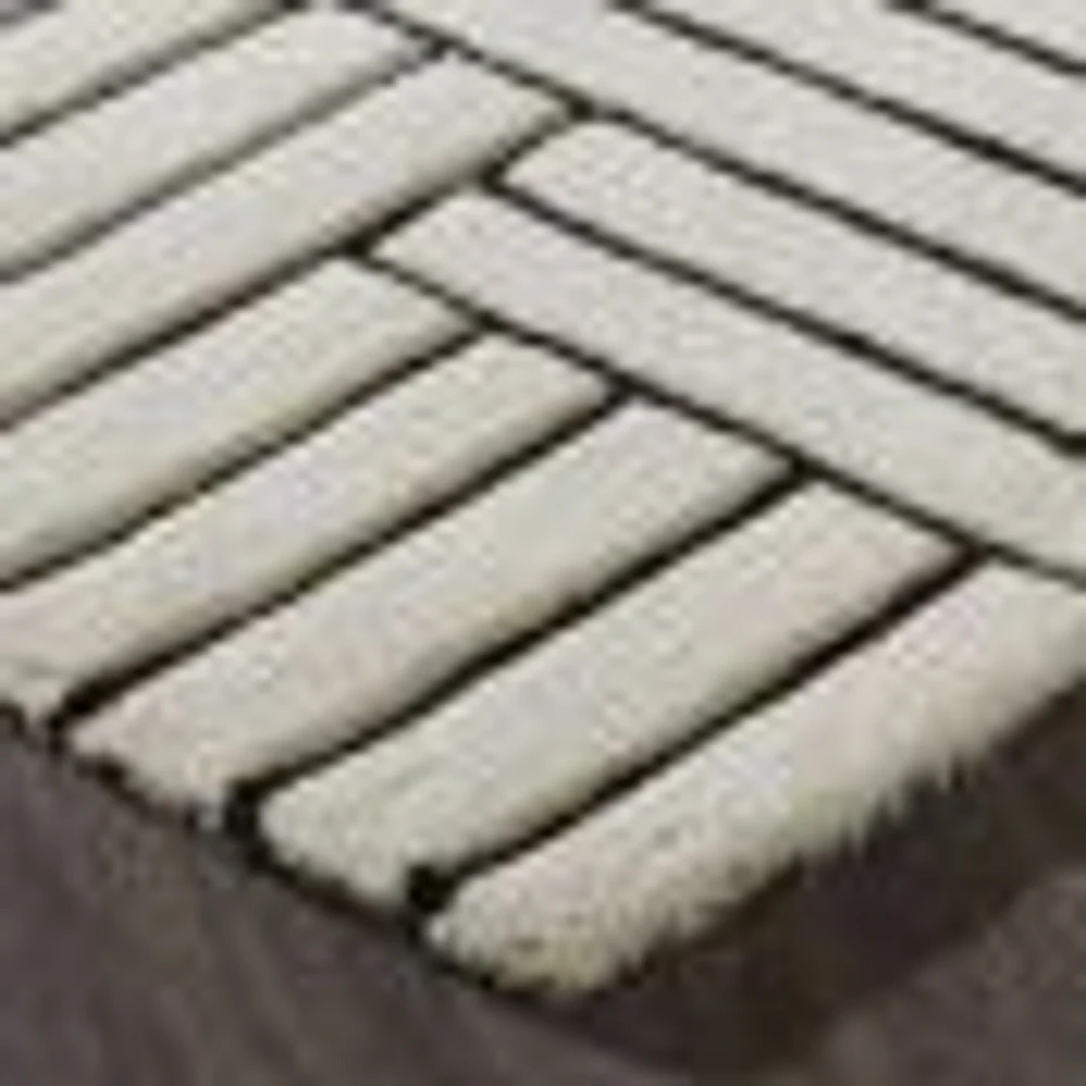 Arctica Off-White and Black Indoor Rug