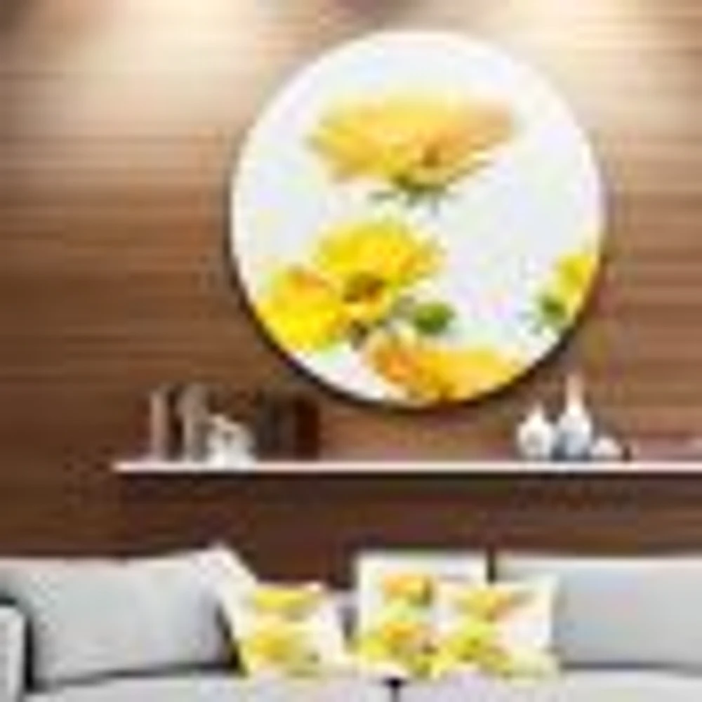 Beautiful Yellow Flowers on White Round Wall Art