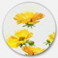 Beautiful Yellow Flowers on White Round Wall Art