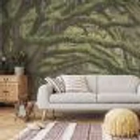 Oak Tree Forest Wallpaper Mural