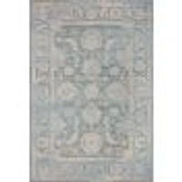Loloi II Odessa Rug