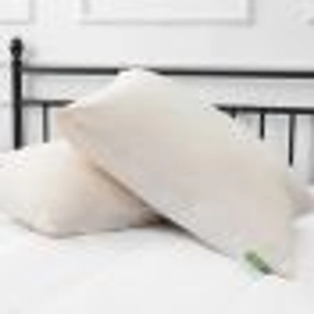 Pillow with organic Cotton Cover