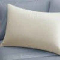 Pillow with organic Cotton Cover