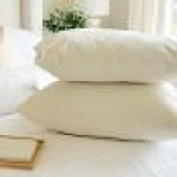 Pillow with organic Cotton Cover