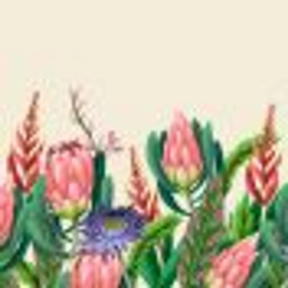 Proteas Flower Wallpaper Mural