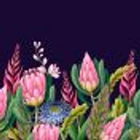 Proteas Flower 2 Wallpaper Mural