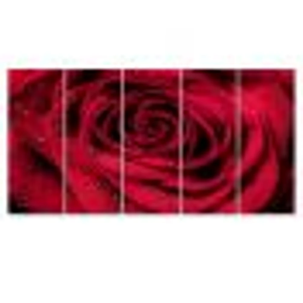 Red Rose Petals with Rain Droplets  Canvas Art Print