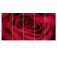 Red Rose Petals with Rain Droplets  Canvas Art Print