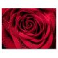 Red Rose Petals with Rain Droplets  Canvas Art Print