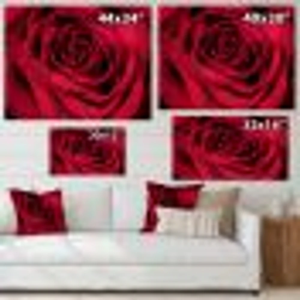 Red Rose Petals with Rain Droplets  Canvas Art Print