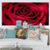 Red Rose Petals with Rain Droplets  Canvas Art Print