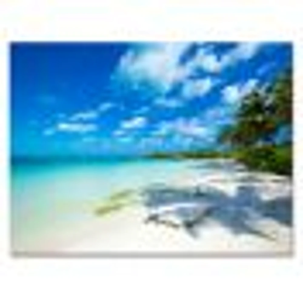 Tropical Beach with Palm Shadows  Canvas Print