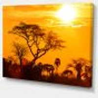 Orange Glow of African Sunset  Wall Art