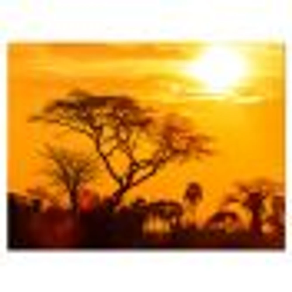 Orange Glow of African Sunset  Wall Art