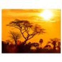 Orange Glow of African Sunset  Wall Art