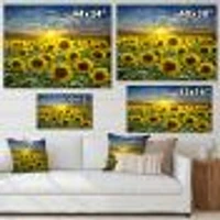 Field of Blooming SunFlowers  Canvas Wall Art