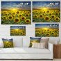 Field of Blooming SunFlowers  Canvas Wall Art