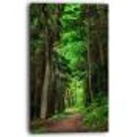 Dreamy Greenery Dense Forest  Wall Art Canvas