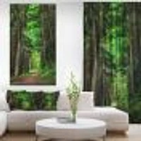 Dreamy Greenery Dense Forest  Wall Art Canvas