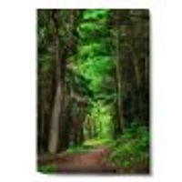 Dreamy Greenery Dense Forest  Wall Art Canvas