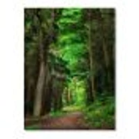 Dreamy Greenery Dense Forest  Wall Art Canvas