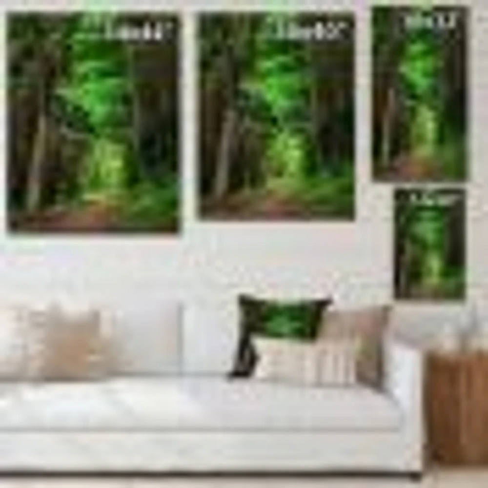 Dreamy Greenery Dense Forest  Wall Art Canvas