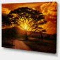 African Sunset with Lonely Tree  Wall Art