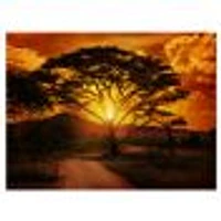 African Sunset with Lonely Tree  Wall Art