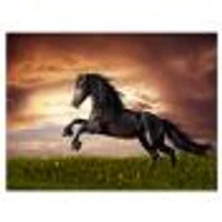 Black Friesian Horse Gallop  Wall Art