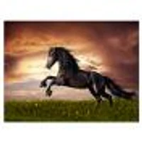 Black Friesian Horse Gallop  Wall Art