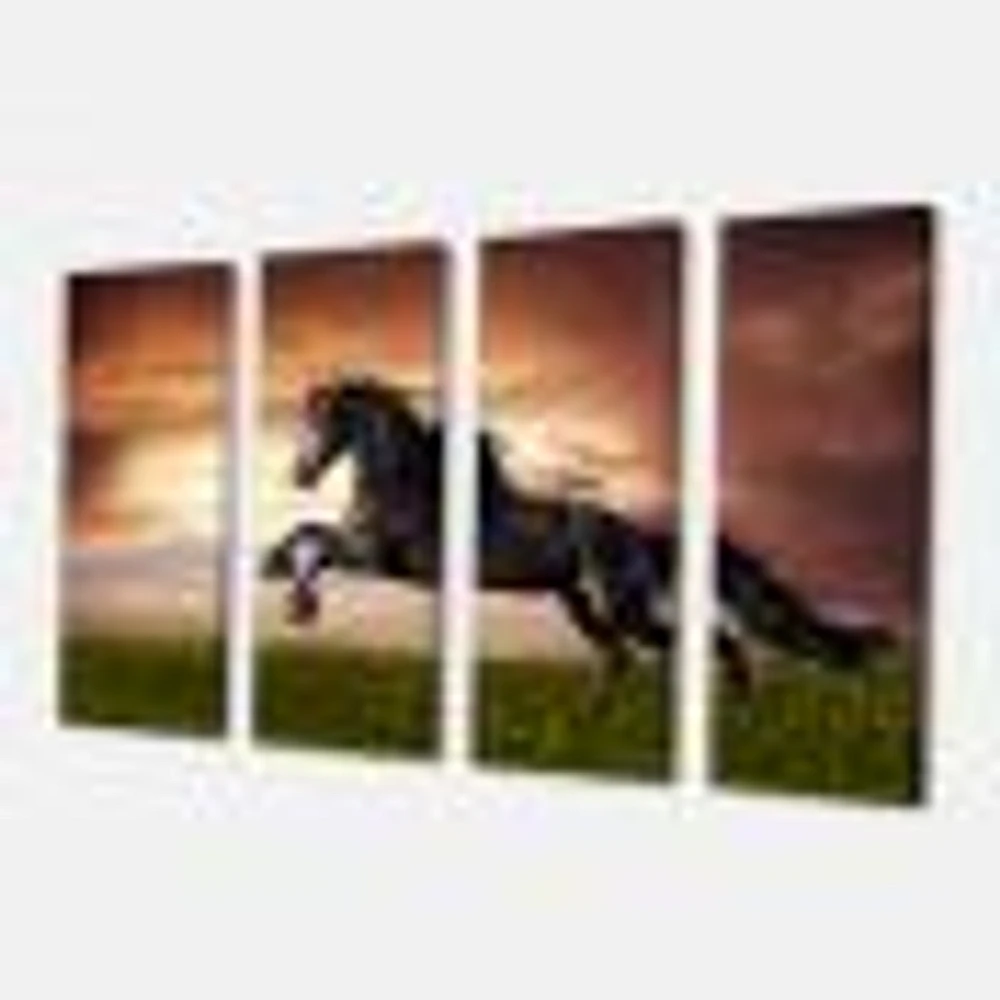 Black Friesian Horse Gallop  Canvas Wall Art