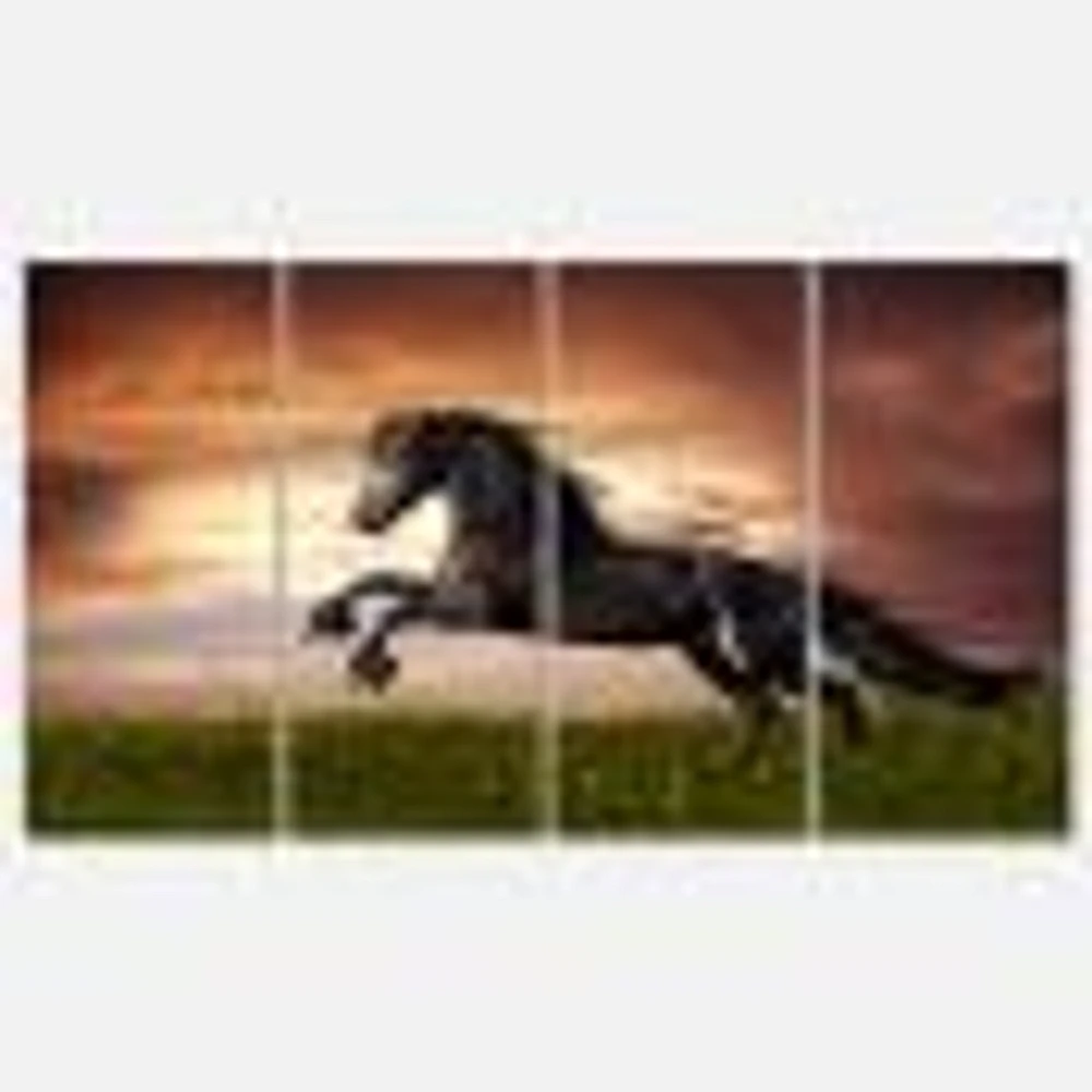 Black Friesian Horse Gallop  Canvas Wall Art