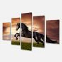 Black Friesian Horse Gallop  Canvas Wall Art