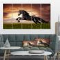 Black Friesian Horse Gallop  Canvas Wall Art