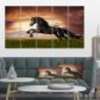 Black Friesian Horse Gallop  Canvas Wall Art