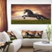 Black Friesian Horse Gallop  Wall Art