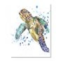 Blue Sea Turtle  Canvas Art Print