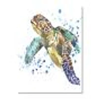 Blue Sea Turtle  Canvas Art Print