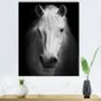 White Horse Black and  Wall Art